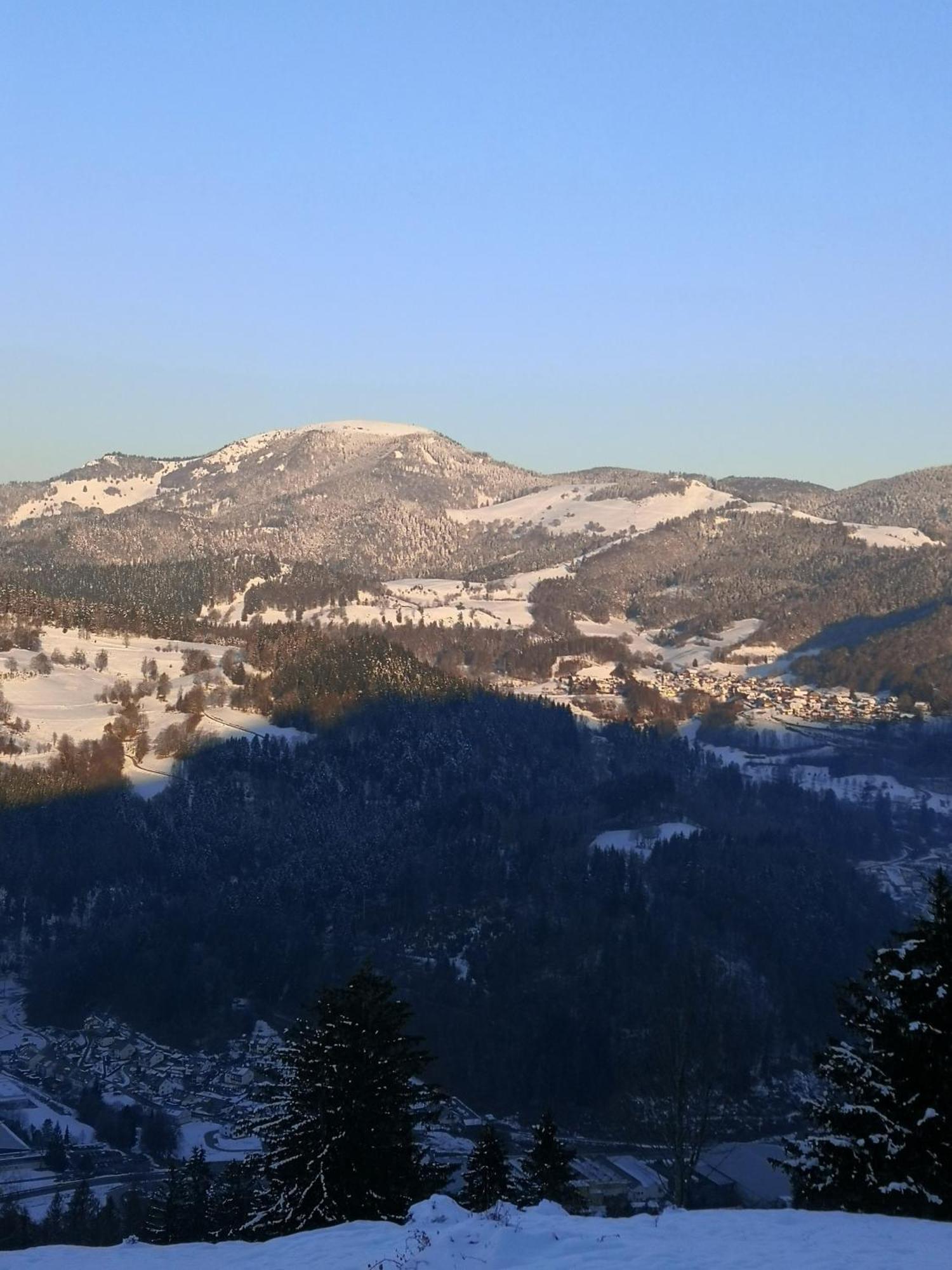 Ferienwohnung Belchenliebe Schonenberg Екстер'єр фото