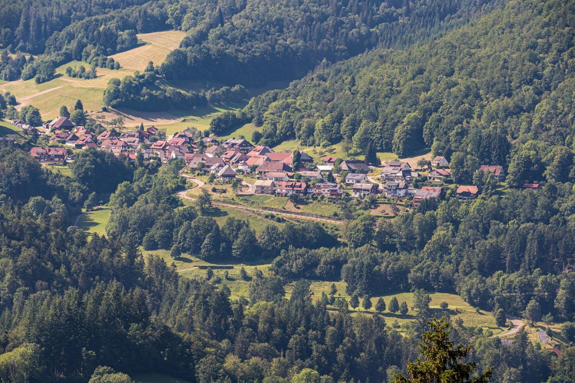 Ferienwohnung Belchenliebe Schonenberg Екстер'єр фото