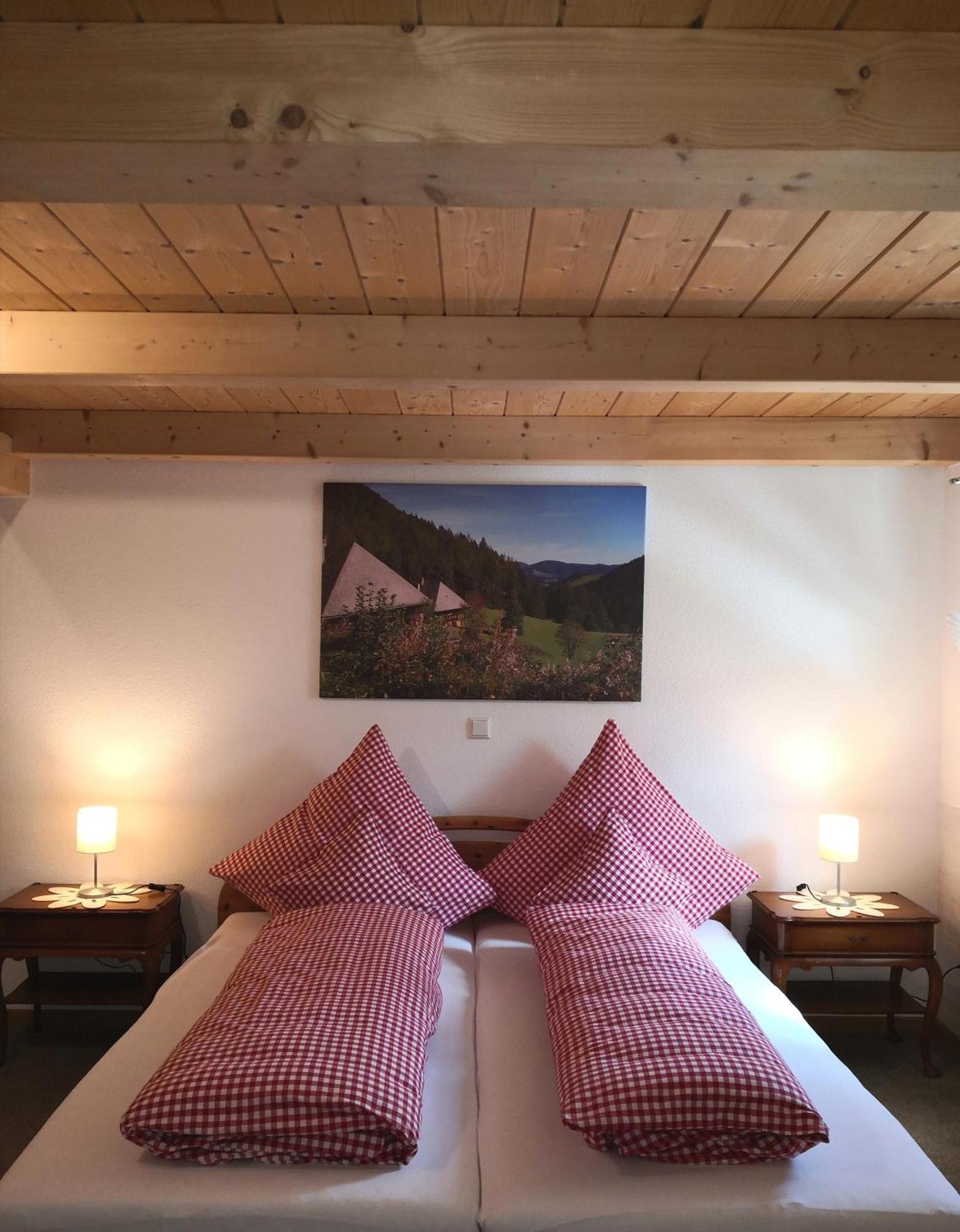 Ferienwohnung Belchenliebe Schonenberg Екстер'єр фото