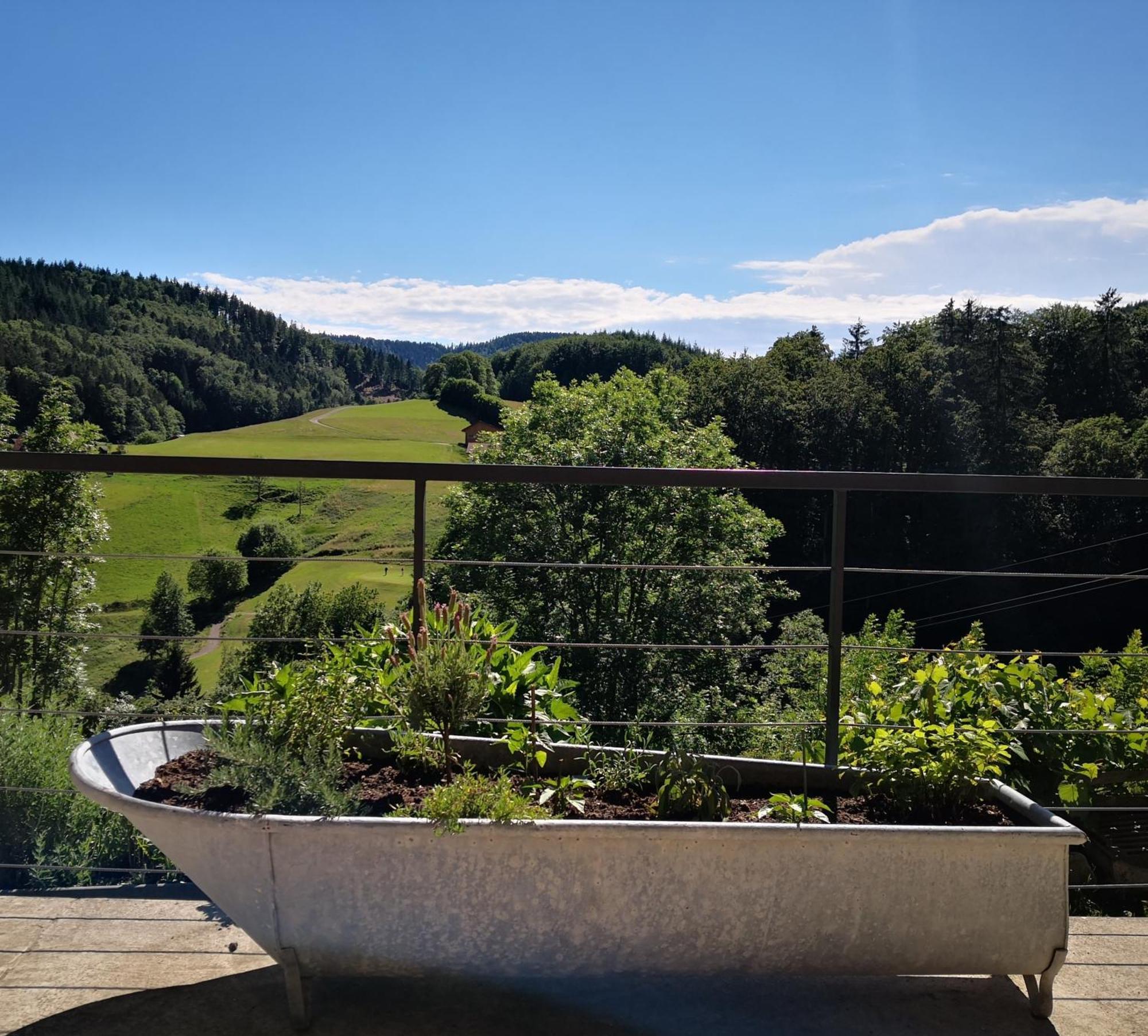 Ferienwohnung Belchenliebe Schonenberg Екстер'єр фото