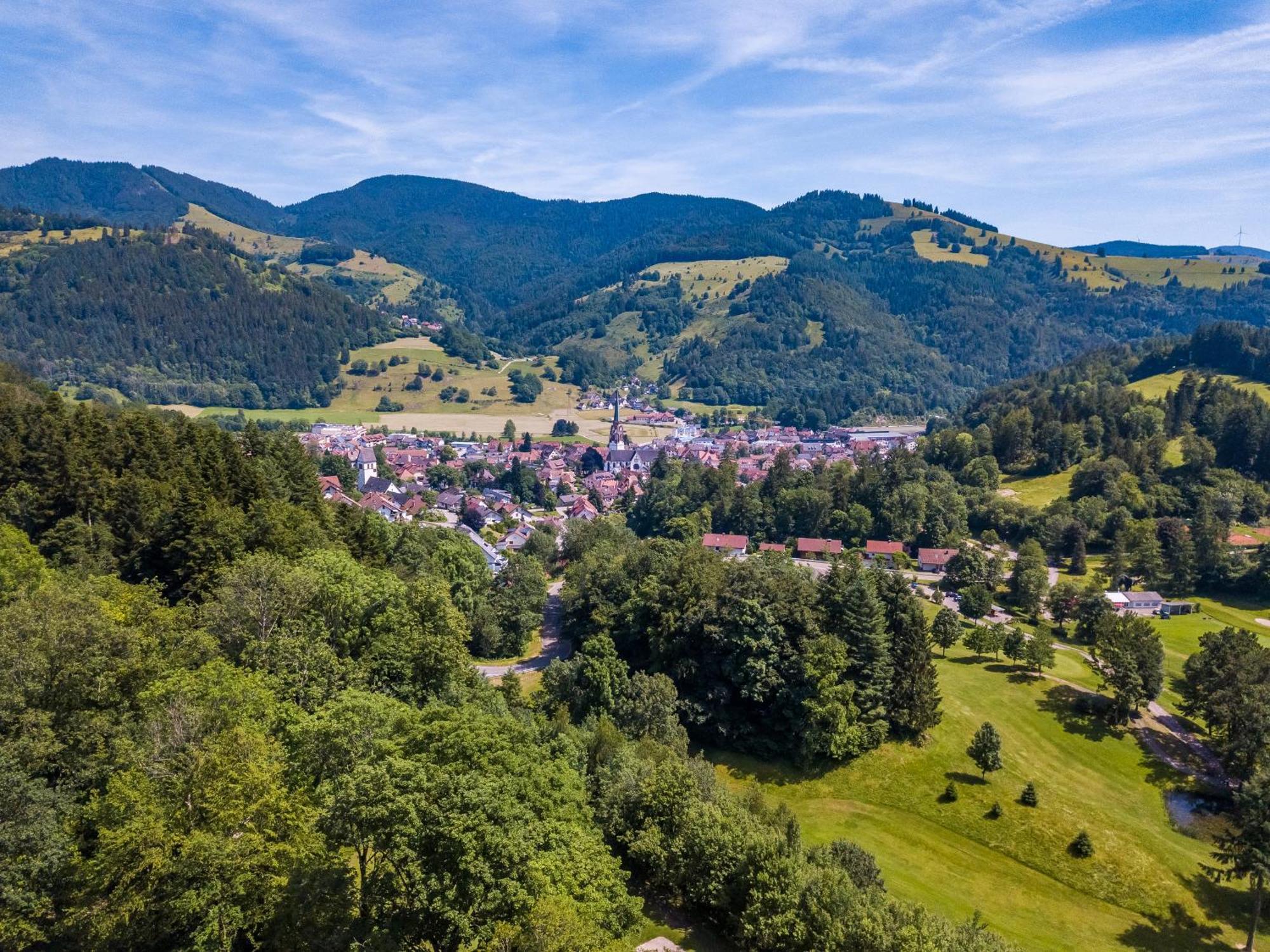 Ferienwohnung Belchenliebe Schonenberg Екстер'єр фото